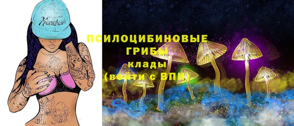 spice Алексин