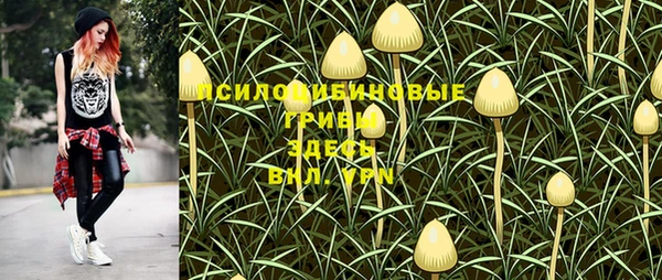 не бодяженный Рославль