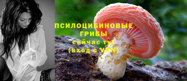spice Алексин