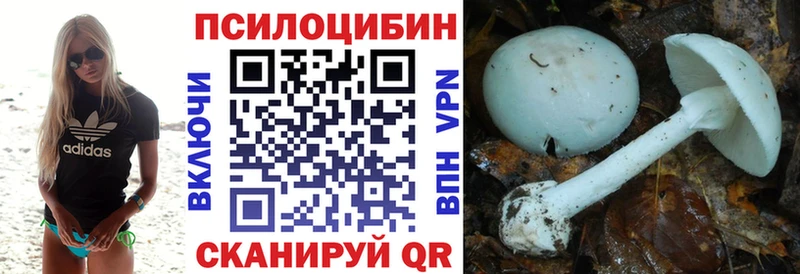 Галлюциногенные грибы Magic Shrooms дарнет шоп Судогда